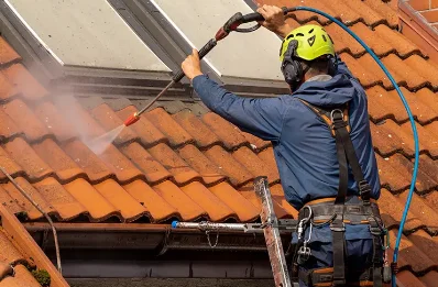 Démoussage et hydrofuge de toiture à Brélidy